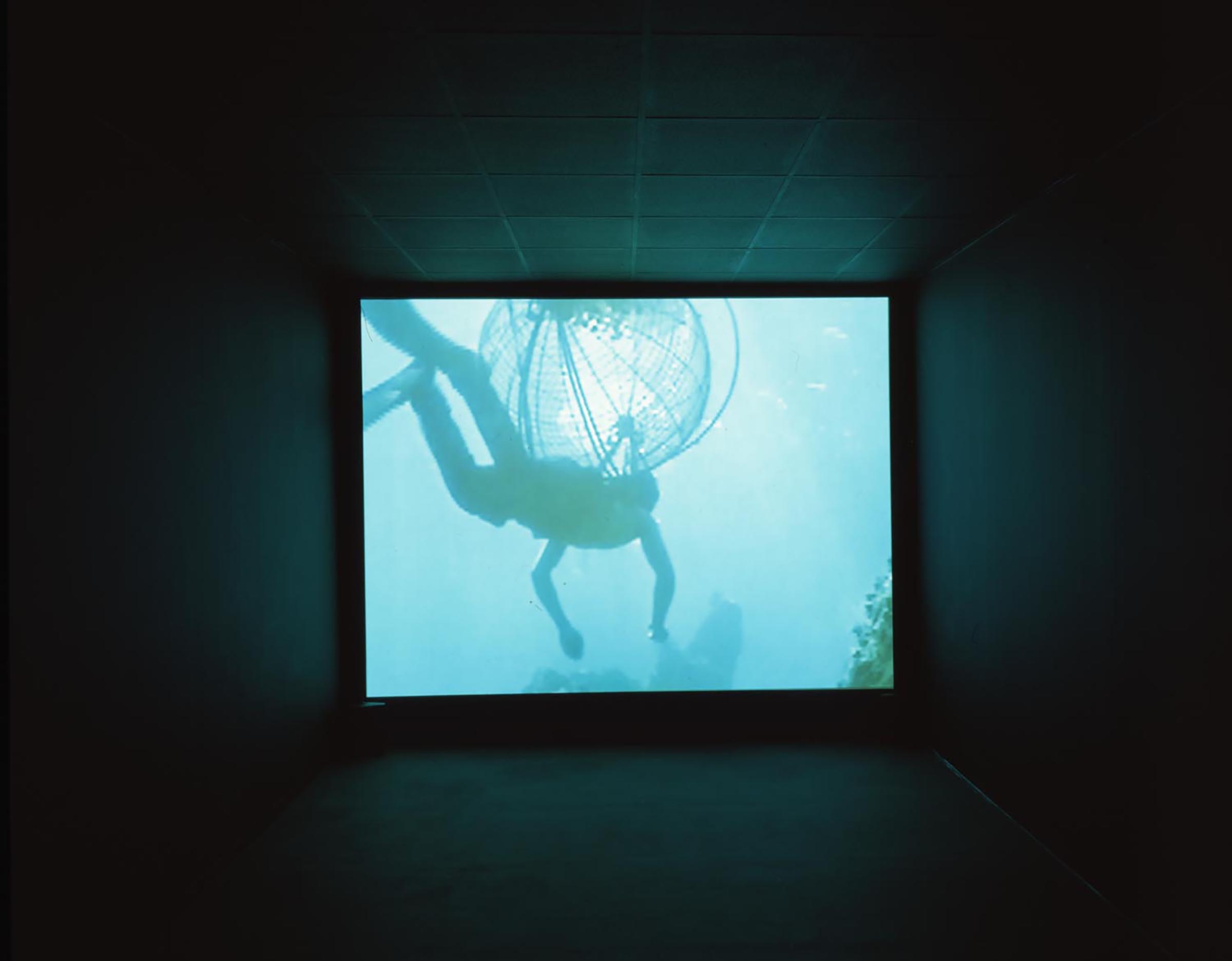 Jun Nguyen-Hatsushiba, Happy New Year - Memorial Project Vietnam II, 2003